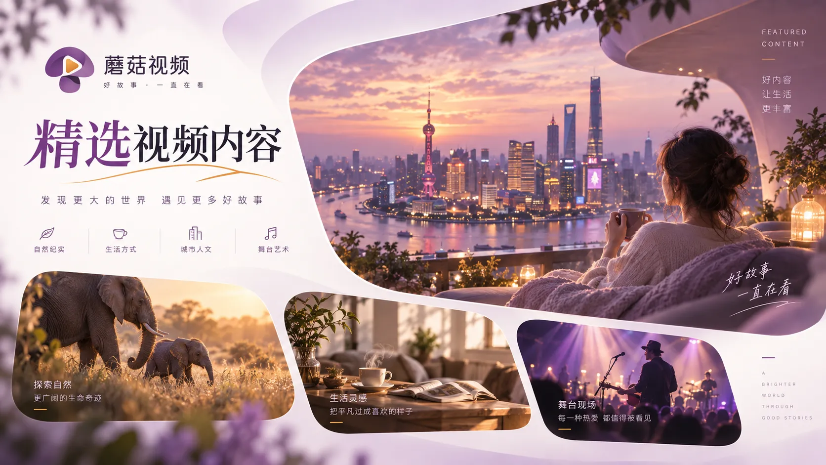 蘑菇视频内容主题与观看方式整理